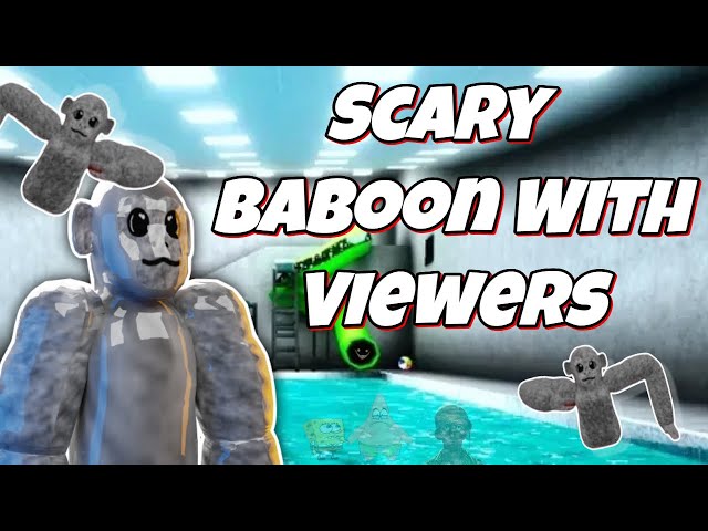 Scary Baboon Playing With Viewers and More! (Short Stream!)