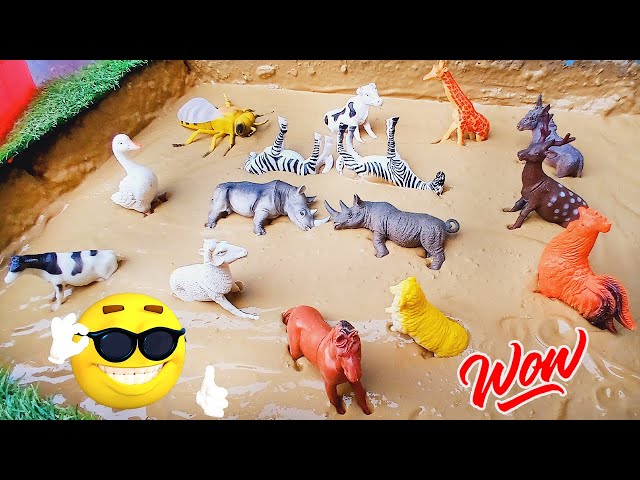 Toy Animals Adventure | Fun Learning & Play for Kids | Toy Animals for Kids | Fun Play Video