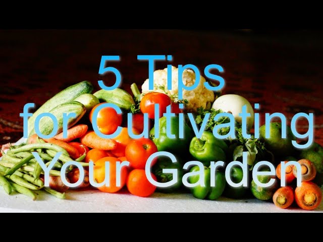 5 Tips for Cultivating Your Garden