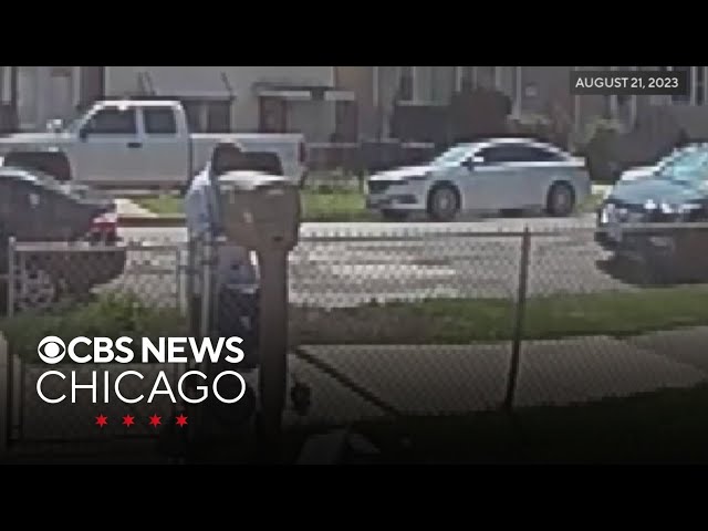 Mail carrier caught on video dropping packages over Chicago woman's fence