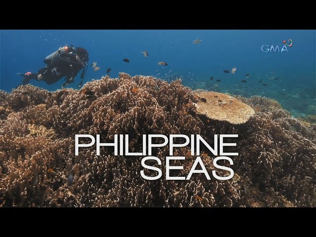 Philippine Seas: A documentary by Atom Araullo (Full Episode) (with English subtitles)