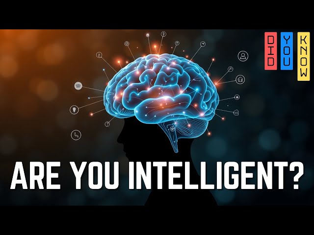 25 Things Only Highly Intelligent People Do, Are You Doing These?