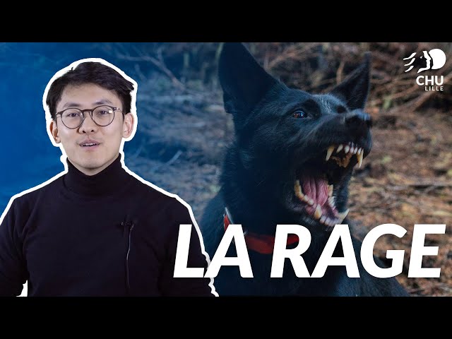 La Rage : toujours d'actualité ?