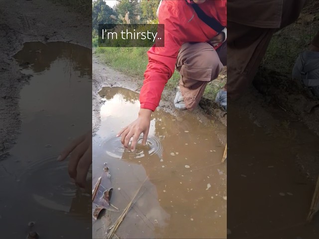 How to filter water with T-shirt DIY waterfilter #survival #bushcraft #camping