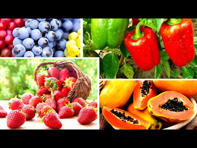 Alimentos Saludables y sus Beneficios #dieta #salud #nutricion #alimentacion #fruta