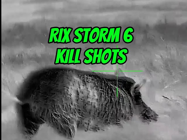 RIX STORM 6 HOG ACTION FOOTAGE