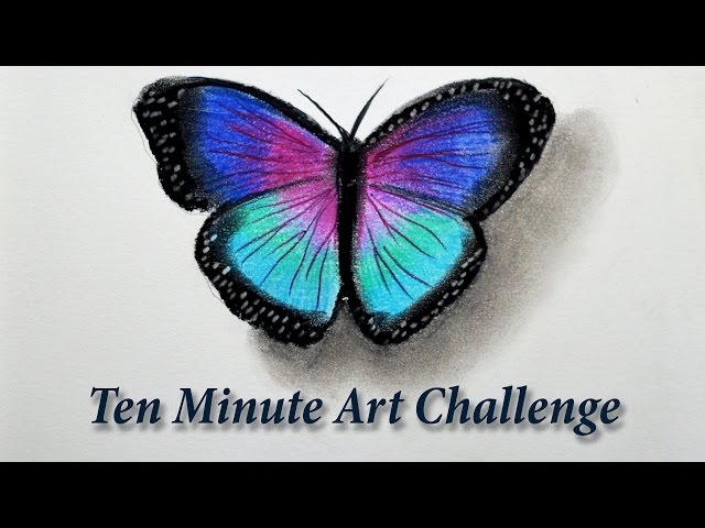 10 Minute Drawing Challenge -- Butterfly with pastels.