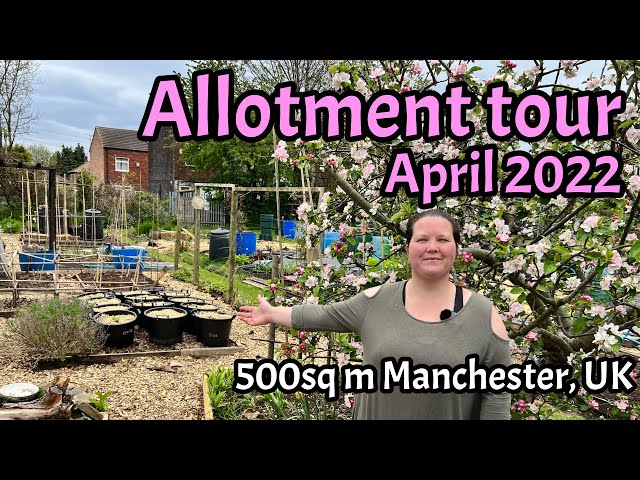 Allotment Tour: April 2022: 500sq.m (2 full plots): Manchester, UK. #allotment #allotmenttour