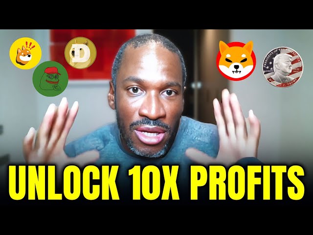 This Mind-Blowing Profit Formula Will Give You 10X on Meme coins - Arthur Hayes