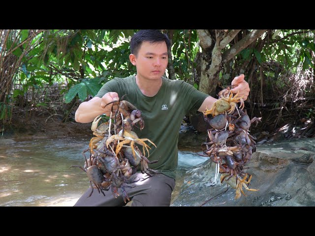 Robert catches wild crabs for food and sells. Green forest life