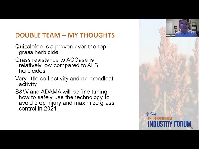 #SuperSorghum Virtual Industry Forum with Brent Bean, Ph.D.