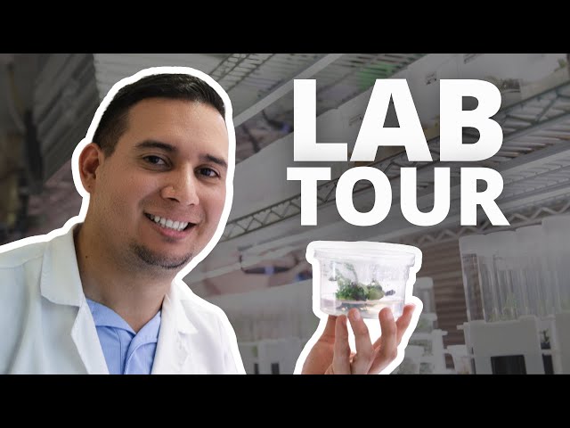 What REALLY Happens in PCT's Plant Tissue Culture Lab? (Lab Tour 2025)