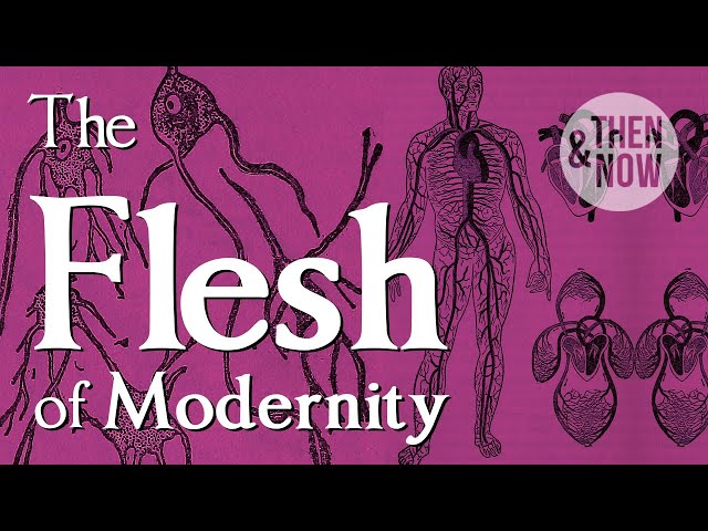 The Flesh of Modernity