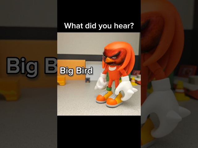 What did you hear? Big bird ✔️ sesame✅️  #tails #memes #funny