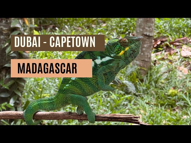 Madagascar with NCL Jade. Islands of Nosy Be and Nosy Komba