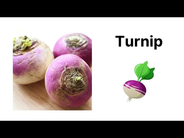 VEGETABLES NAME | KIDS VIDEO