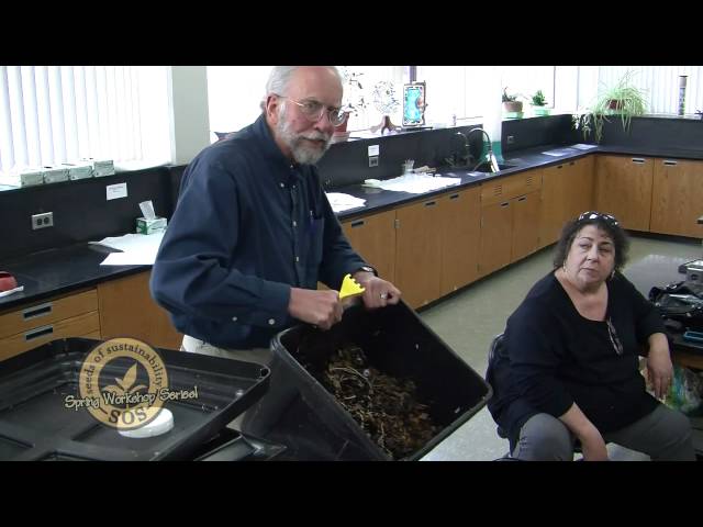 Seeds of Sustainability- Worming Composting Workshop