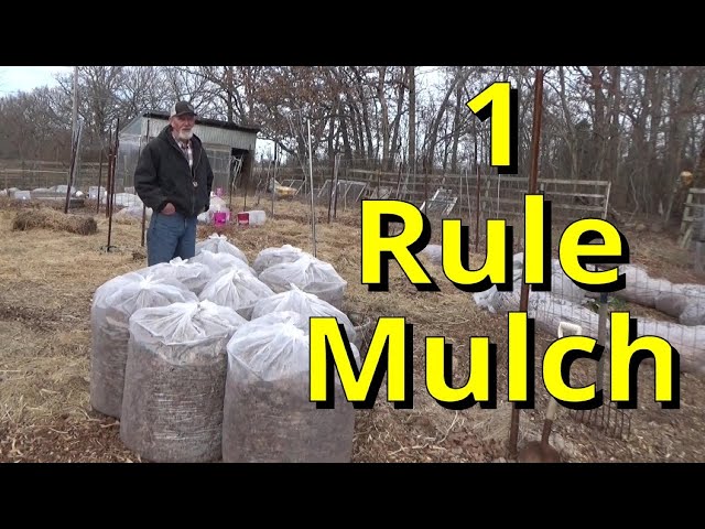 1 Rule Garden Mulch 2-10-2024