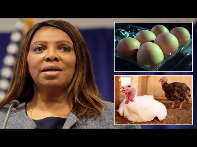 NY AG Letitia James warns against price gouging on eggs amid bird flu outbreak