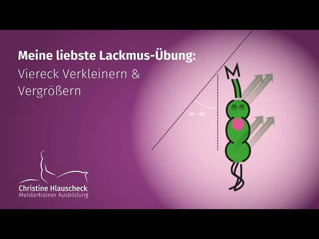 Meine liebste Lackmus-Übung: Viereck Verkleinern und Vergrößern