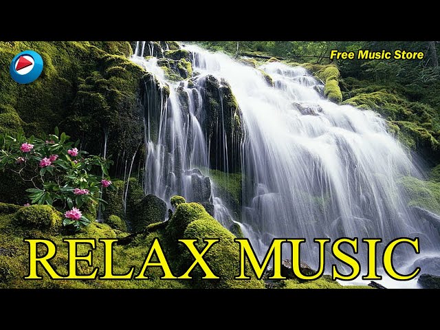 MÚSICA INSTRUMENTAL COM SONS DA NATUREZA PARA RELAXAR, MEDITAR, ESTUDAR, DORMIR !!!