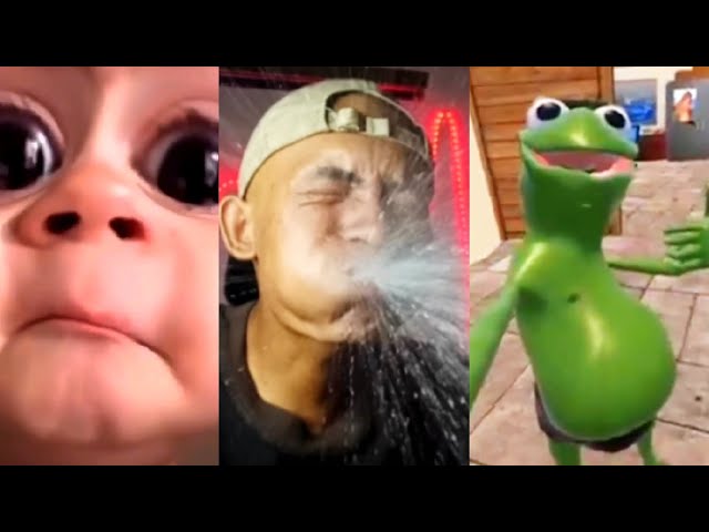 NEW BEST FUNNY VIDEOS 😅 Jacksinfo Try Not Laugh Challenge Compilation Part 9