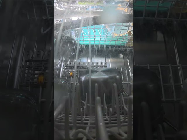 📹 What Really Happens Inside a Dishwasher? Action Cam POV Reveals Everything!