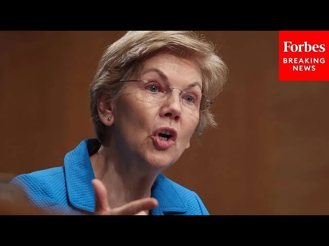 Elizabeth Warren Delivers Epic Speech About 'Architect Of Project 2025' Russell Vought