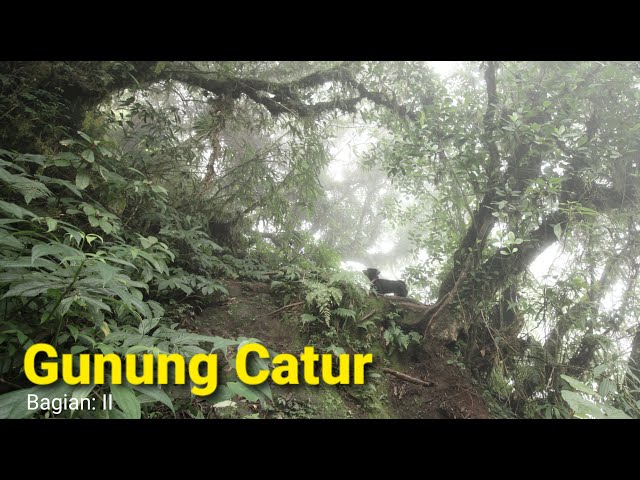 Gunung Catur || Puncak mangu