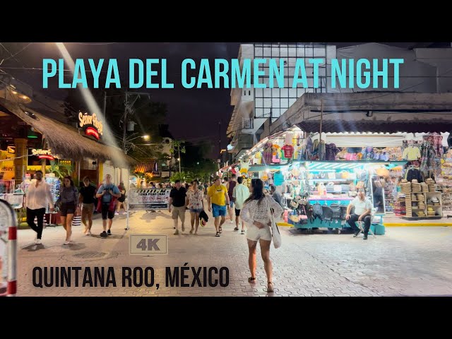 Quinta Avenida After Dark: A Night Walking Tour in Paradise Through Playa del Carmen