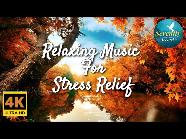 Best Relaxing Music For Stress Relief With Soothing Birds Sound - [Sleep, Meditate, Study, Focus]