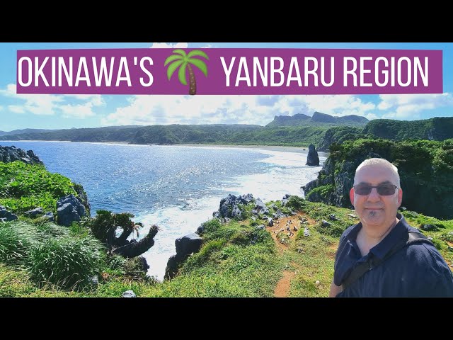 Exploring Okinawa's Rugged Yanbaru Region