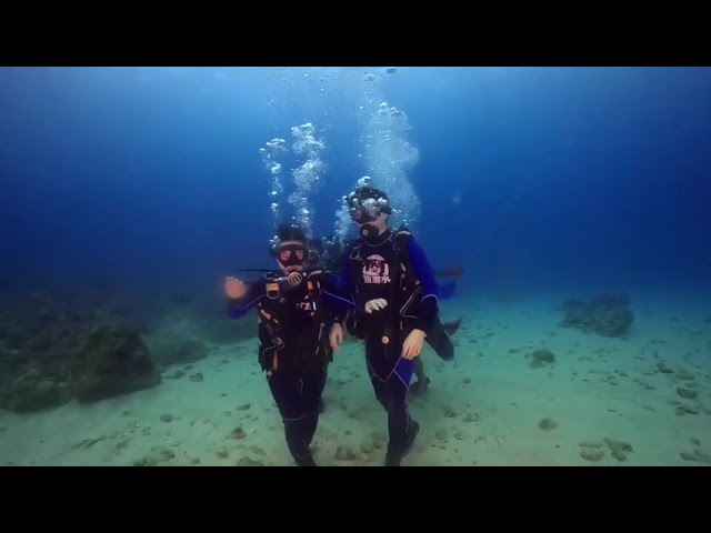 2023.08.11 Bear diving 小琉球熊潛水 - 體驗潛水 - 海底漫步 @林陳三點