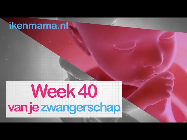 40 weken zwanger | ikenmama.nl