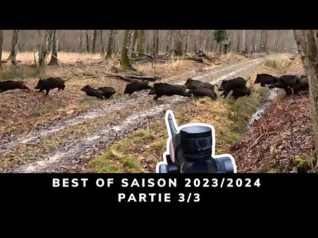 BEST OF 2023/2024 - HUNTING FOR RED DEER, WILD BOARS, ROE DEERS AND SMALL GAME - 3/3