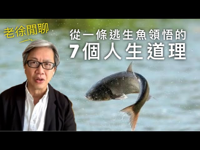 由一條「成功逃生的魚」發展出來的7個人生道理｜老徐閒聊