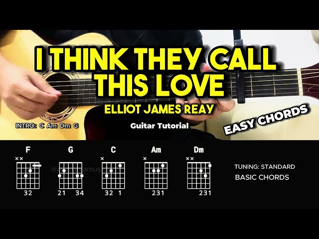 I Think They Call This Love - Elliot James Reay | Guitar Tutorial For Beginners (CHORDS & LYRICS)