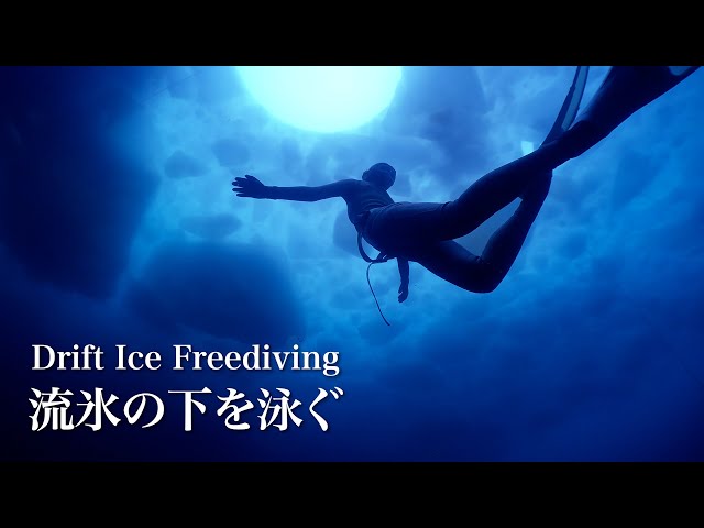 Drift Ice Freediving in Shiretoko, A World Heritage Site in Japan｜流氷ダイビング＠北海道知床ウトロ