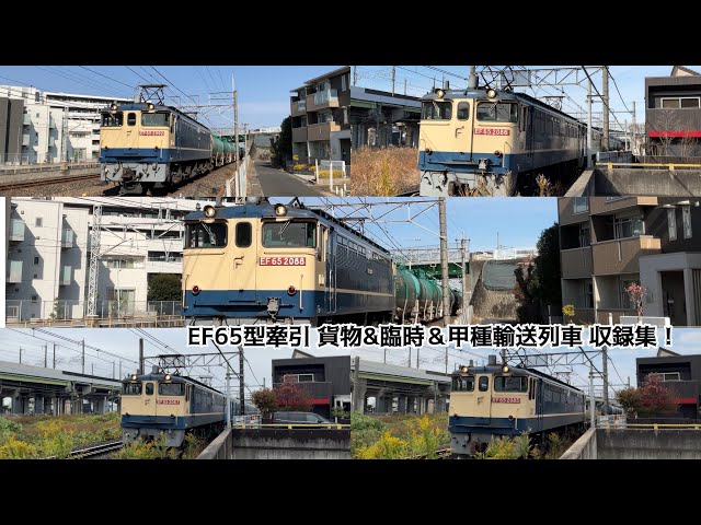 EF65型牽引 貨物•臨時＆甲種輸送列車 走行集！(2067•2070•2074•2080•2083•2085•2086•2087•2088•2089•2090•2092•2096号機)