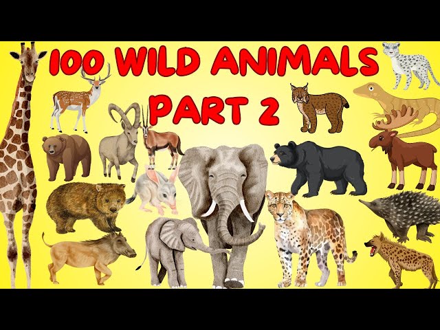 100[New] Wild Animals[PART 2] for Kids | Animal Names & Sounds | Jungle, Ocean, Safari & More