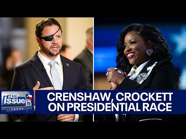 Jasmine Crockett, Dan Crenshaw on the issues that matter in the presidential race