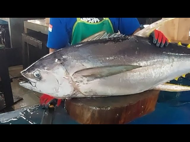 Live 04 Februari 25🔥🔪🔥Amazing Fresh Yellowfin Tuna Cutting Skills at Sorong Traditional Fish Market