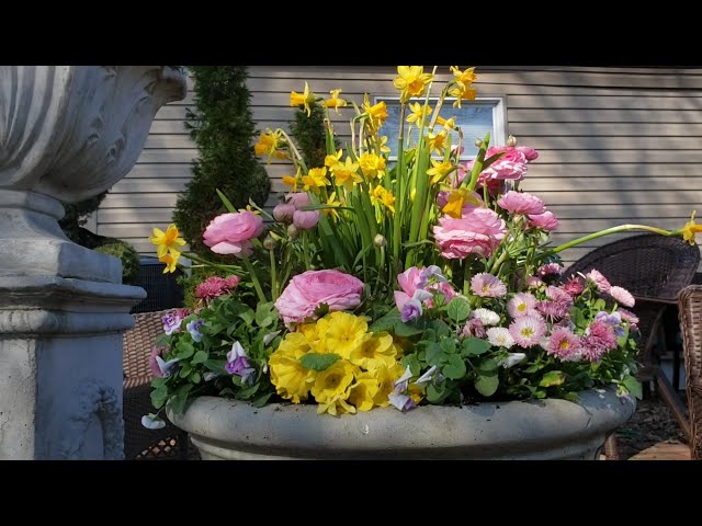 SPRING CONTAINER FLOWER // GARDENING IDEAS FOR SPRING / SPRING PLANT HAUL  & MORE /  GARDEN QUEEN