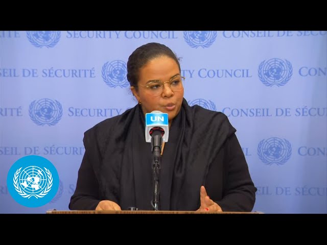 DRC on the situation in the country - Security Council Media Stakeout