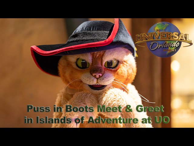 8K Puss in Boots Meet & Greet in Islands of Adventure at Universal Orlando in VR180 3D