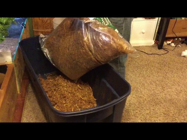 The BEST Sulcata Tortoise Enclosure Tutorial