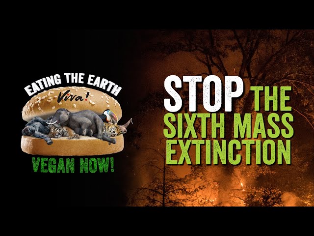 We are EATING THE EARTH