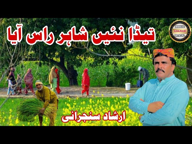 Teda Nai Shahar Ras Aya Singer Irshad  Sanjrani New Sraiki Song 2024 Irshad sanjrani Official