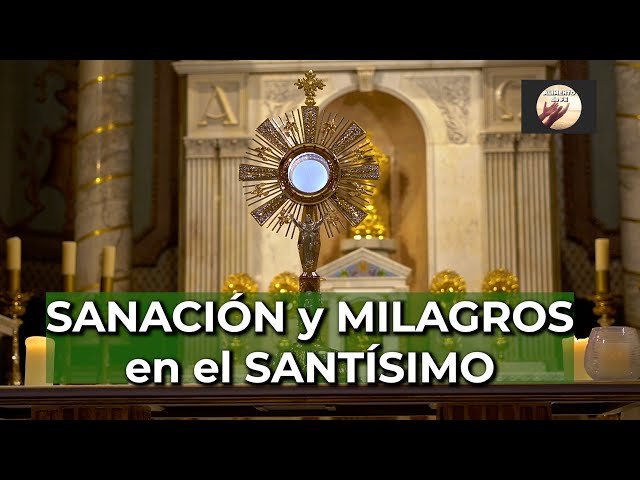 Oraciones de SANACIÓN en el SANTÍSIMO | Fe y Esperanza en la Enfermedad - Alimento de Fe