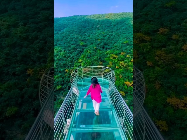 India's Glass Bridge?